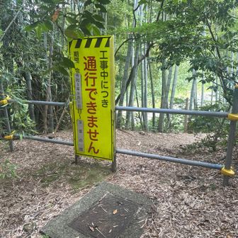 この先行けず…
