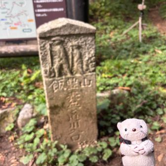 小屋を出て4時間強で表参道・川入登山口まで下山！下山は早かったな。まだ10時前。
このあと都内に戻っても夕方なので、切合小屋に泊まれてとても助かった。