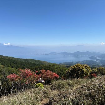 遠方に丹沢方面が見えます