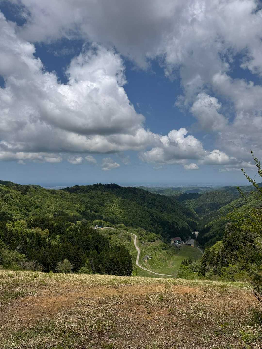 大倉岳 周回コースの写真