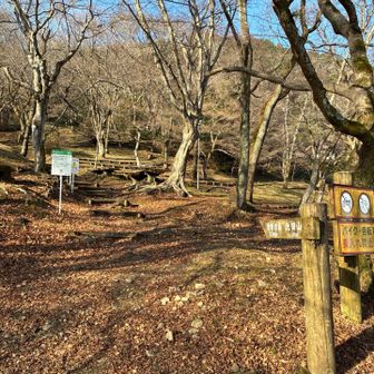 今日は、とっても良い天気！！
めっちゃくちゃ暖かい！
