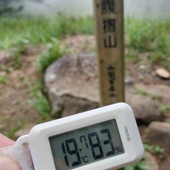 山頂は20℃以下で涼しかった
ちなみに駐車場は25℃位
大月駅周辺は30℃超え😅