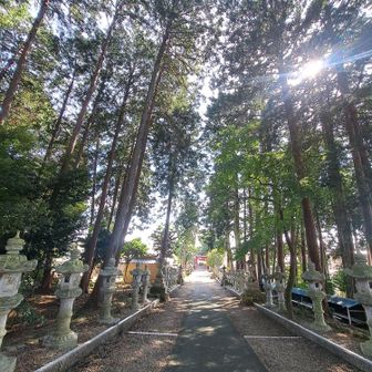 何組かの小さな子供連れの家族を見かけました。

家族で登山なんて本当に羨ましいですね～。

ちょっとずつだけど、一人で計画して登るのがだんだん分かってきた。

次は何処に行けるかなぁ～。