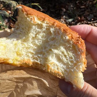 プリンパンはカスタードクリーム入ってるって書いてあったからクリームパンかと思ったら、まさかの生地に練り込み😂