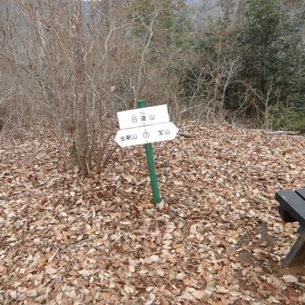 日連山山頂。標高374m。

ルビが付られていたので、初めて「日蓮」じゃくて「日連」だと気が付いた。あほ。