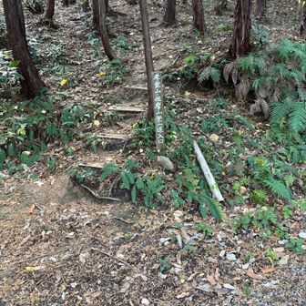 何とか登山口まで戻ってきました。