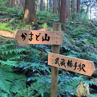 案内板
