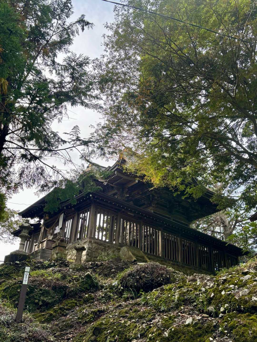 この角度から見る本殿が好き❤️