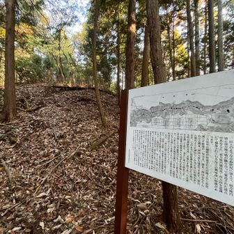 古墳群が続く縦走路です