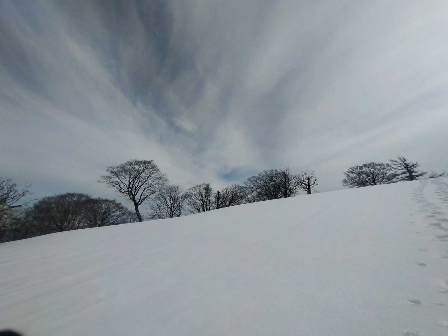 今季もこの風景見れてよかった