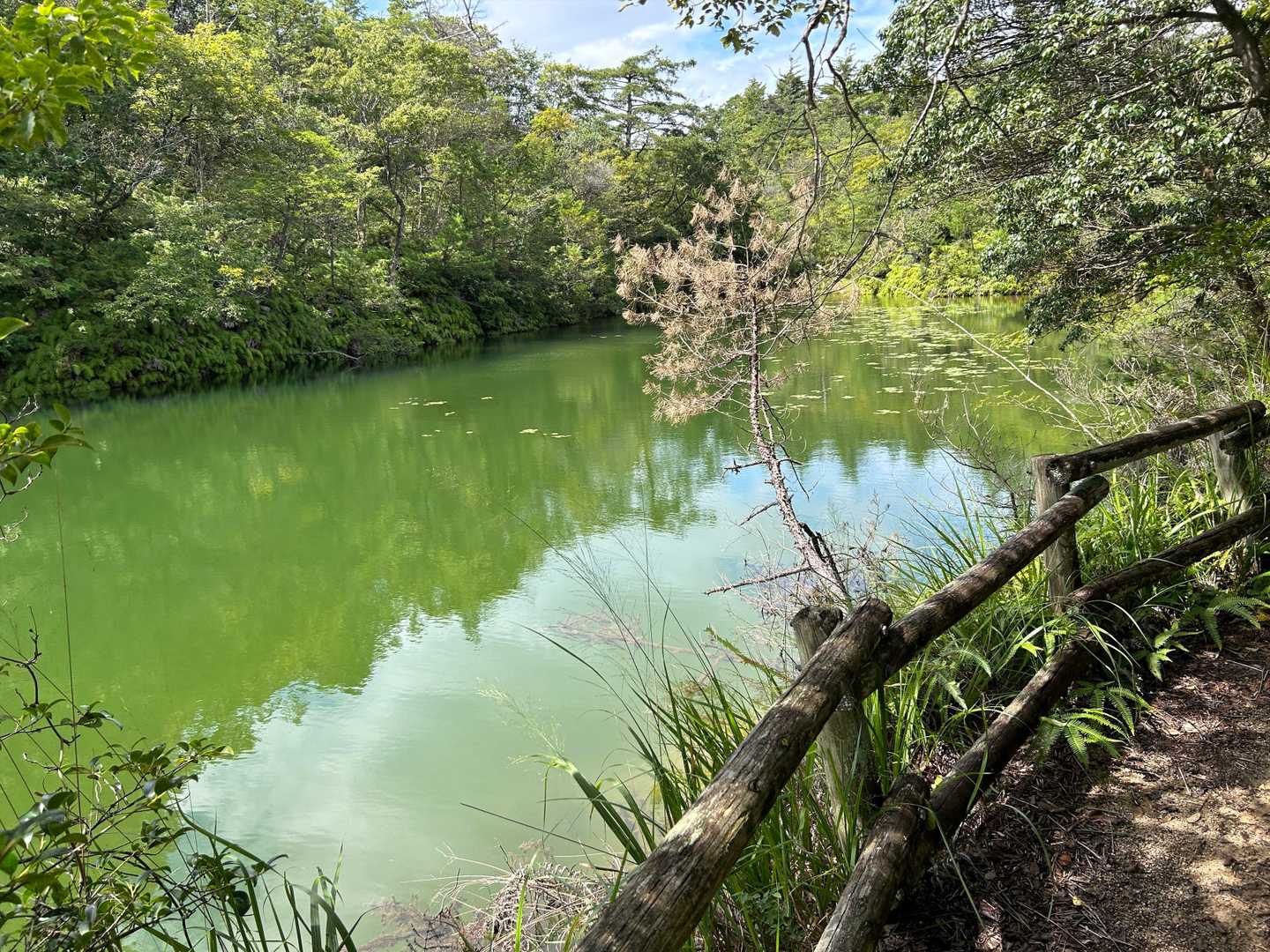最大の溜池（標高350m）。