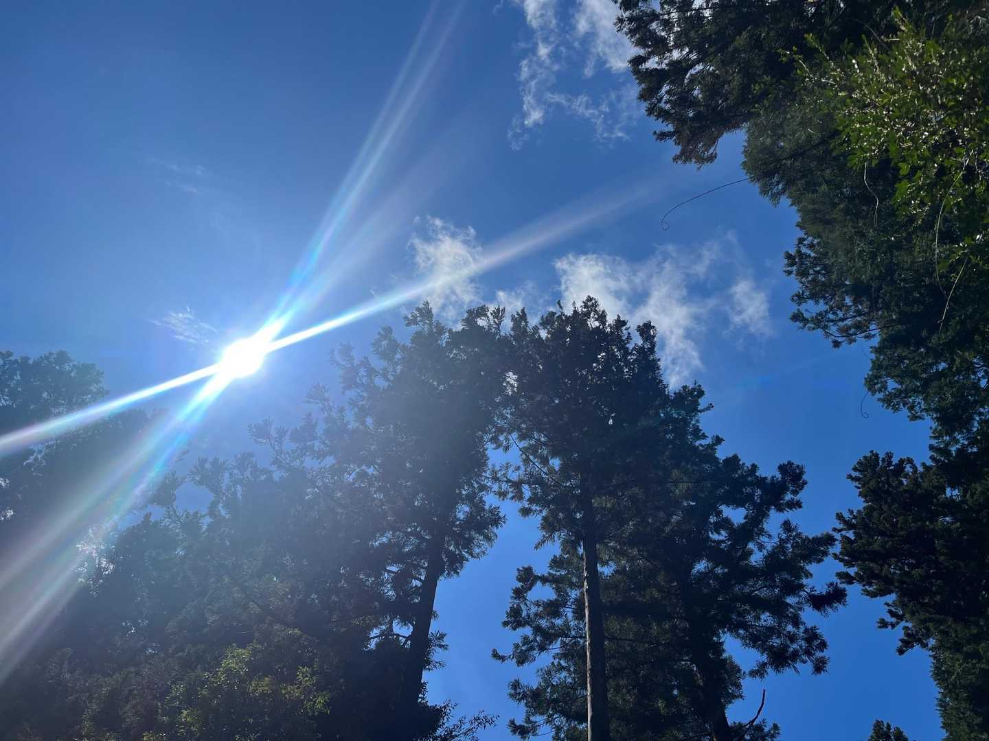 本日は晴天なり☀️