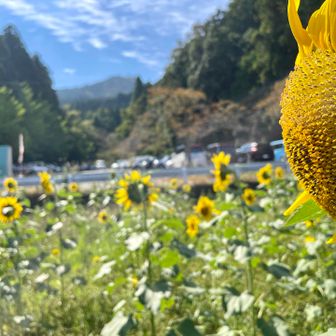 今日も賑わっていた文殊山