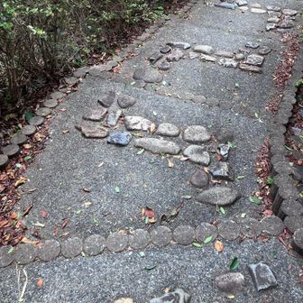 終始こんな道　
下山は走りニャーす🐈
無事　朝ドラ見れたニャン😻
さあさあ最後のお山に行くニャー😽