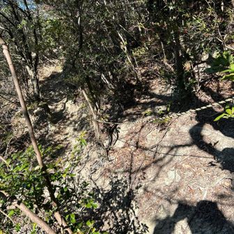 唯一この辺が危なかったかなー