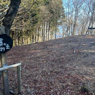 眺望が無いので晴海展望台を目指します