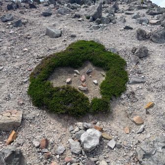 すばる