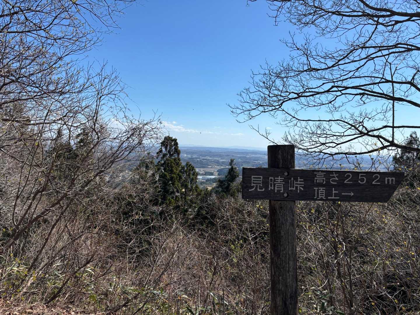 達居森 周回コースの写真