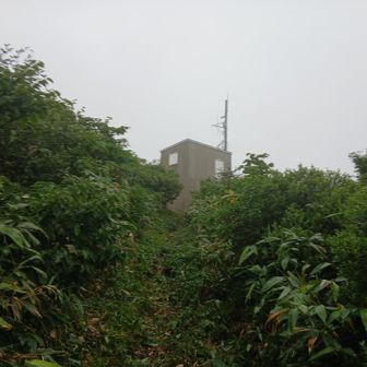 帰りに日向山の雨量計測所に立ち寄り　階段の下でちょっとだけ雨宿りさせて貰おうと思ったけど、グレーチングなのね···