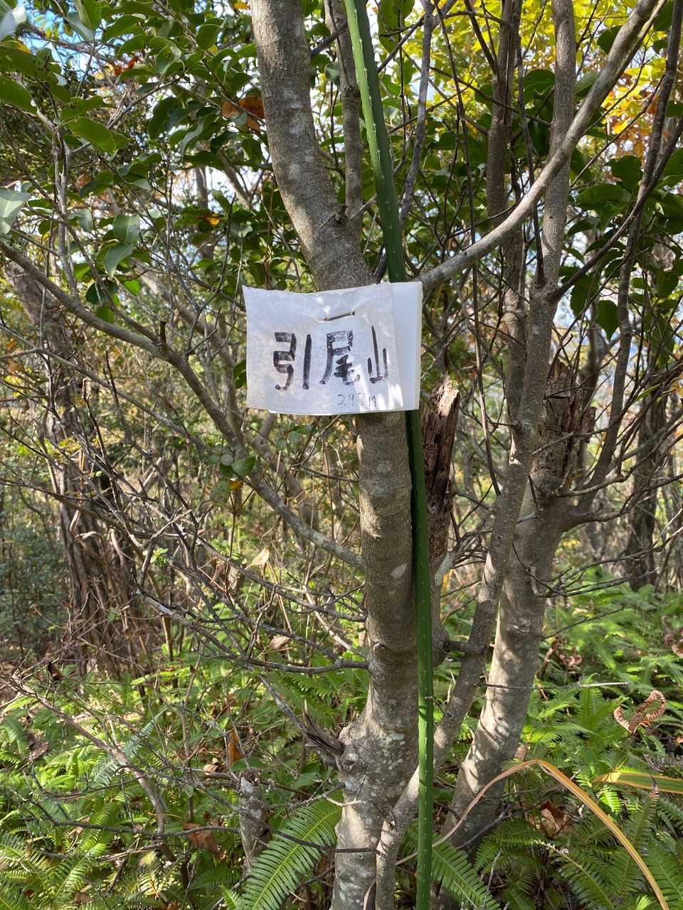 引尾山の写真