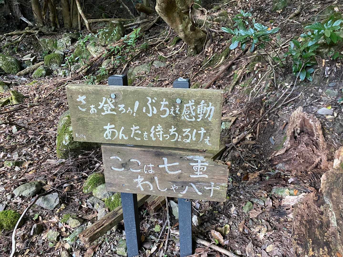 一位ヶ岳 往復コースの写真