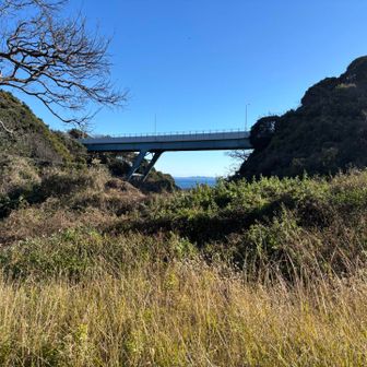 海岸離れました
さよなら〜