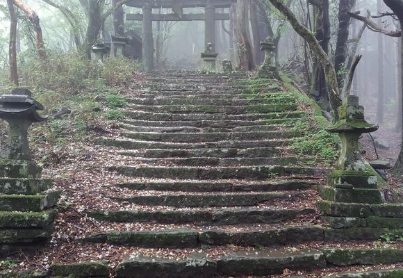 多良岳（佐賀・983m）| 登山ルート・天気 | YAMAP / ヤマップ