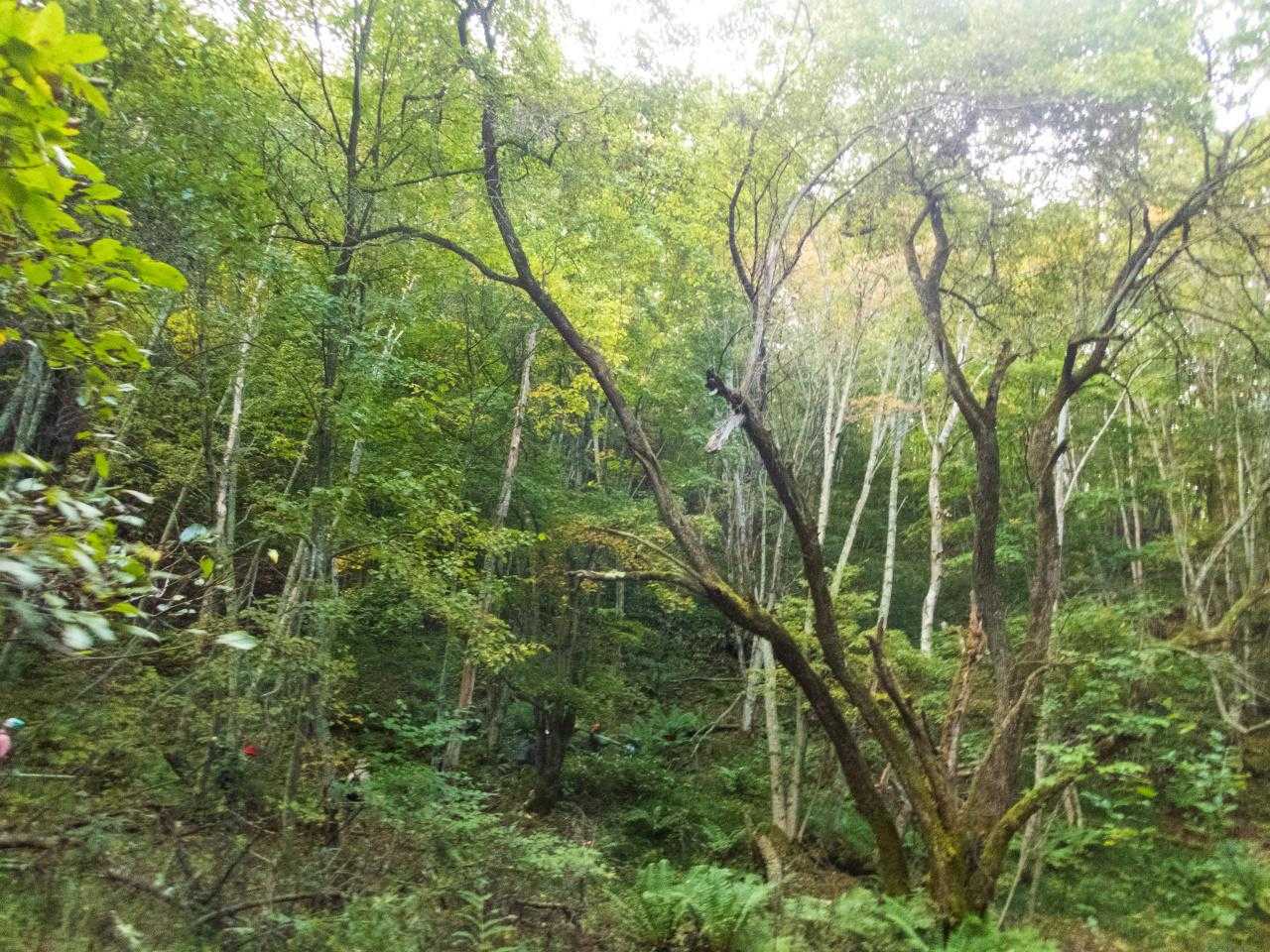 谷をわたるところあたり