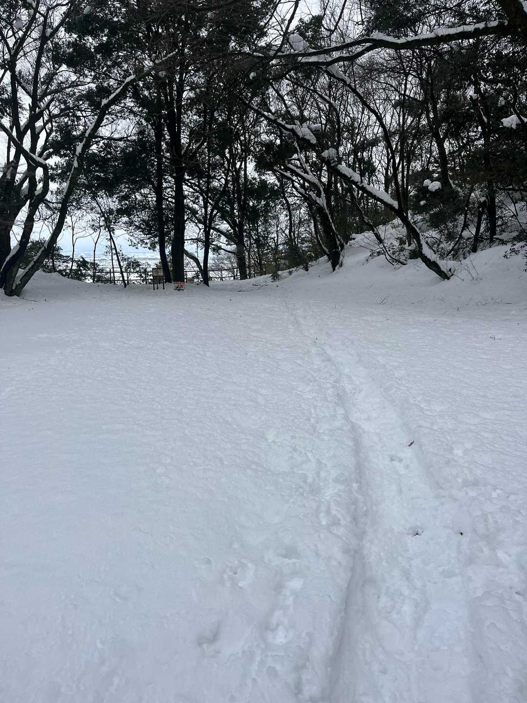 高速トレース