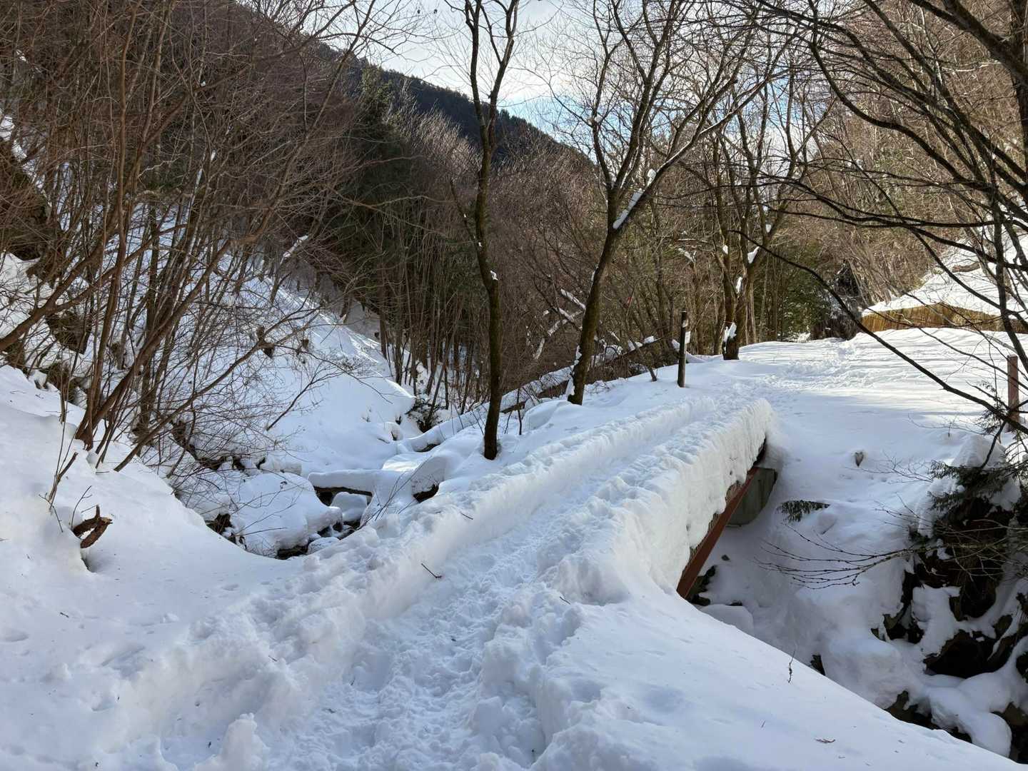 15時前に登山口まで降りて来られました。
ホッとします。