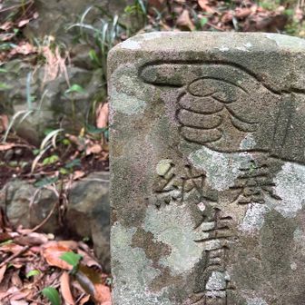 指差しとは逆方向へ進みます