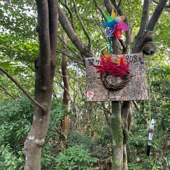 笙ヶ岳登頂　四等三角点
見晴らしありません