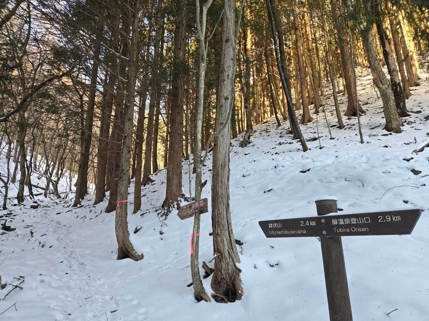 中間地点