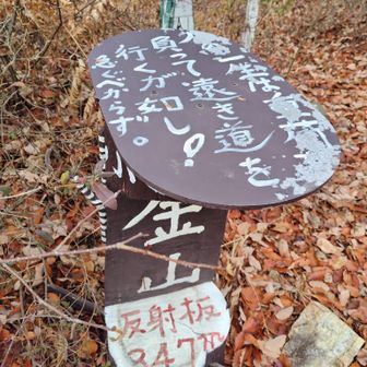 ここからも名古屋方面が一望出来ました👀
金が落ちてないか探しましたがありませんでした…ﾎﾞﾝﾋﾞｰ😂