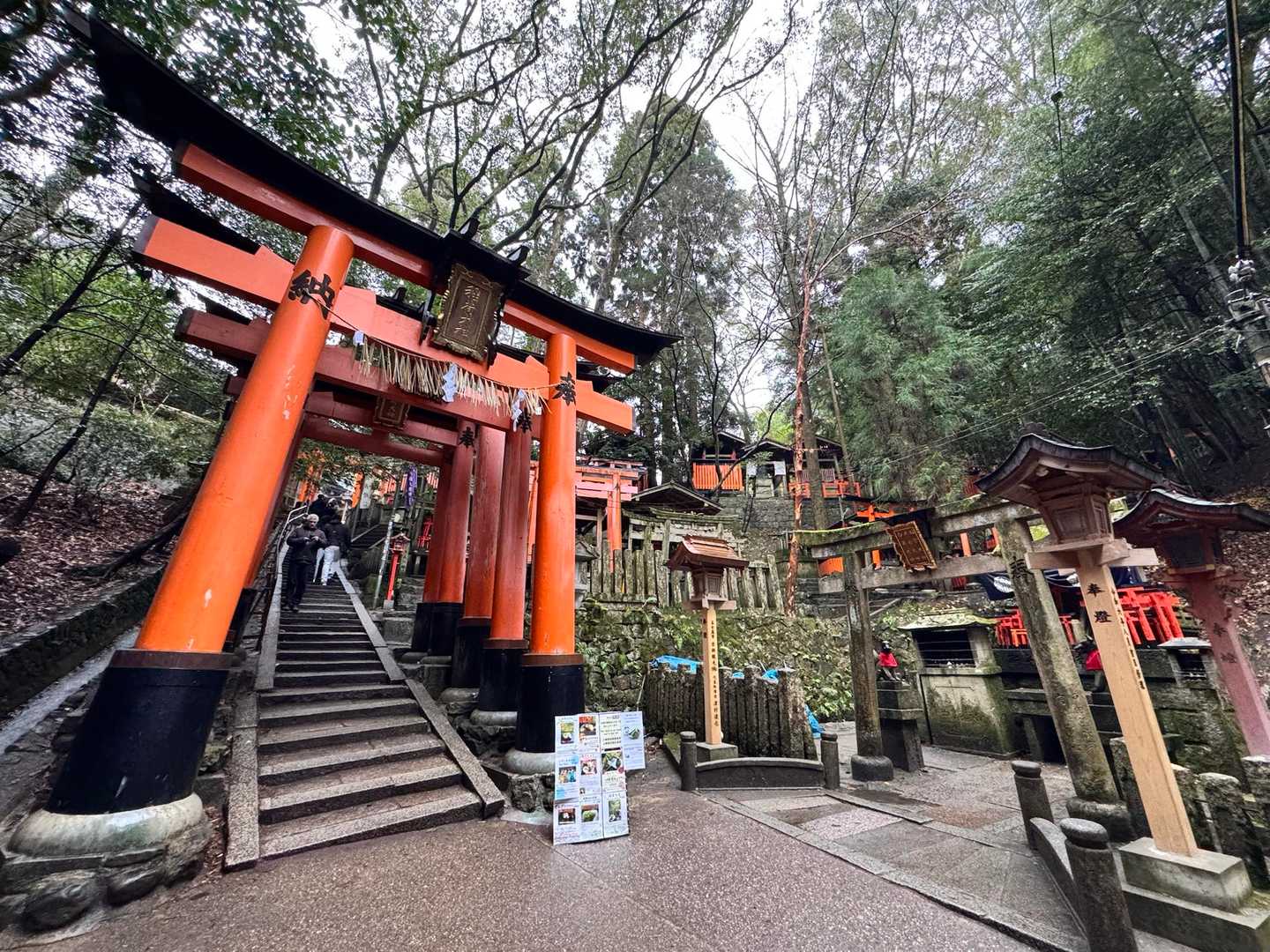 神社の住宅街みたい⛩️