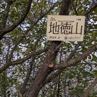 ここまで登り、超きつかった💦