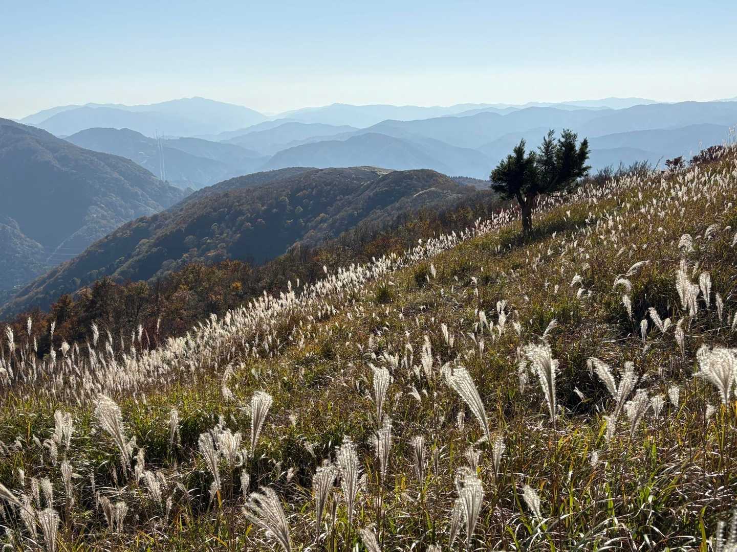 最高の山行です