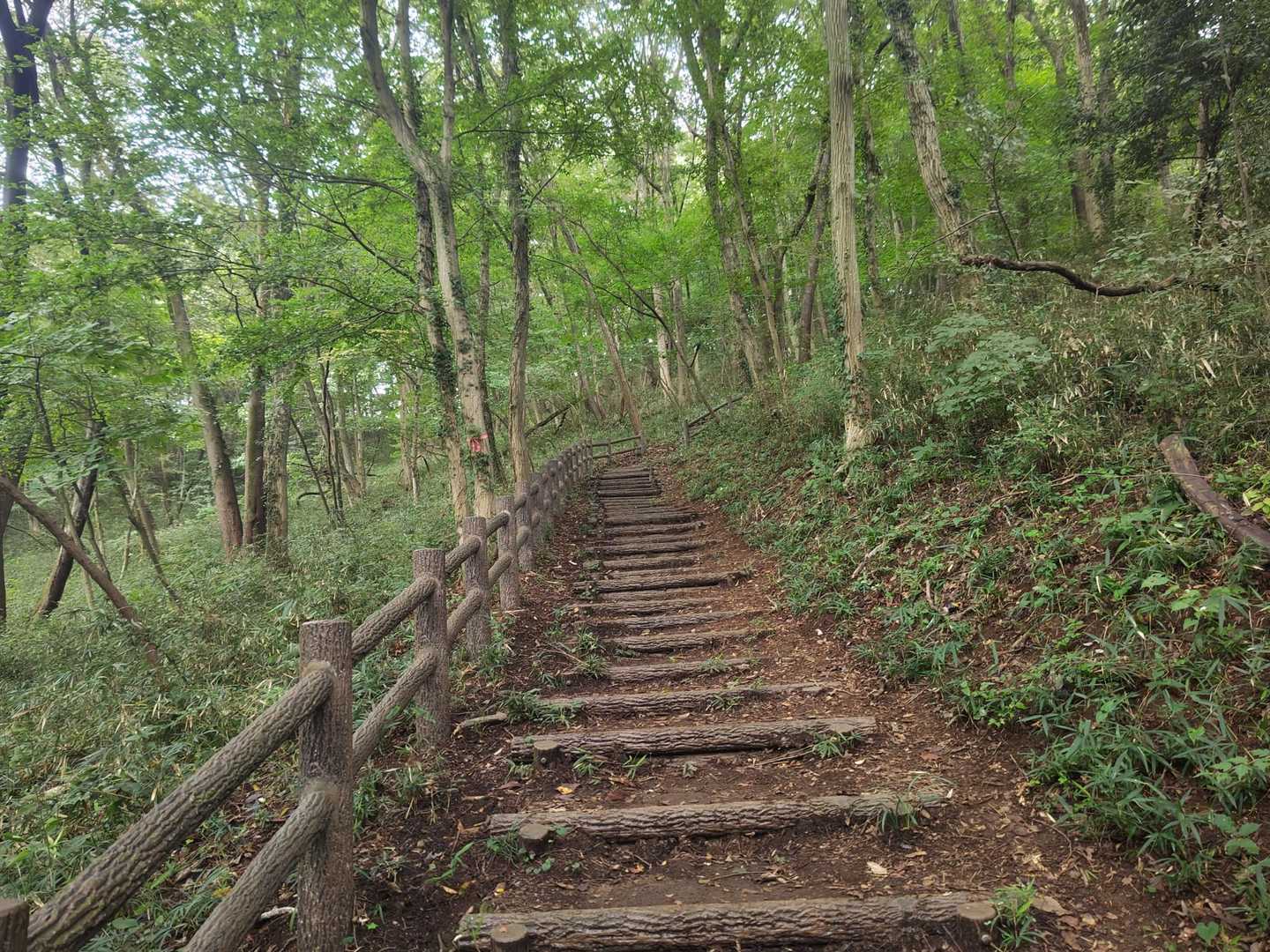 ひたすら階段
斜度はないので歩きやすい
