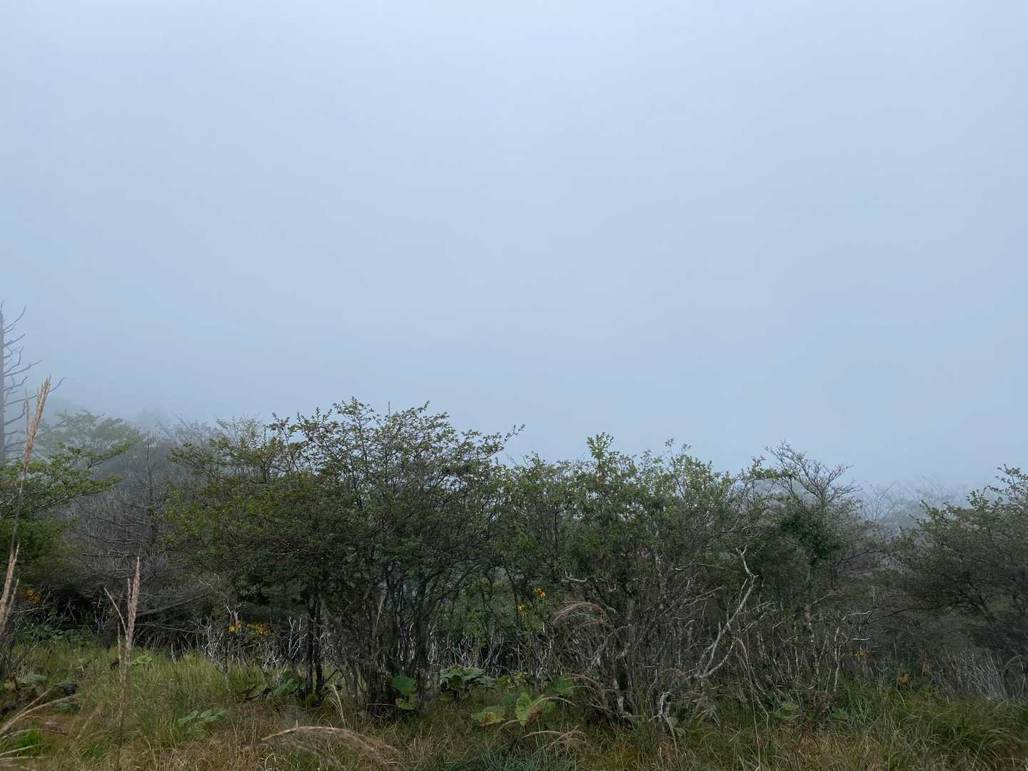 ハンゼノ頭からの絶景😳