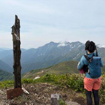 ピークの木柱は有るけど、、、
なんて山？　
ま、いっか　行きましょう〜