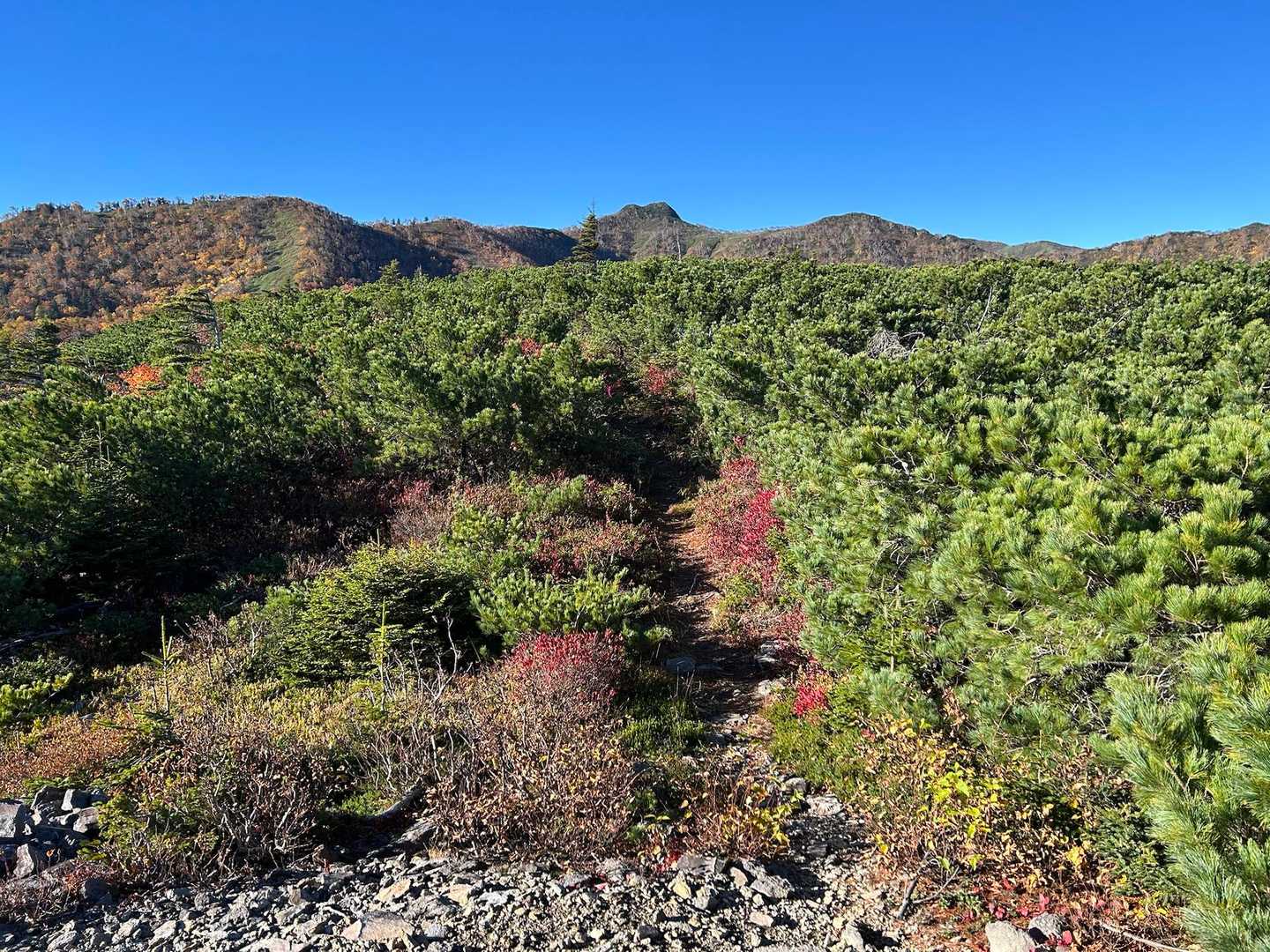 正面の双耳峰みたいな山が次に目指す白滝天狗岳