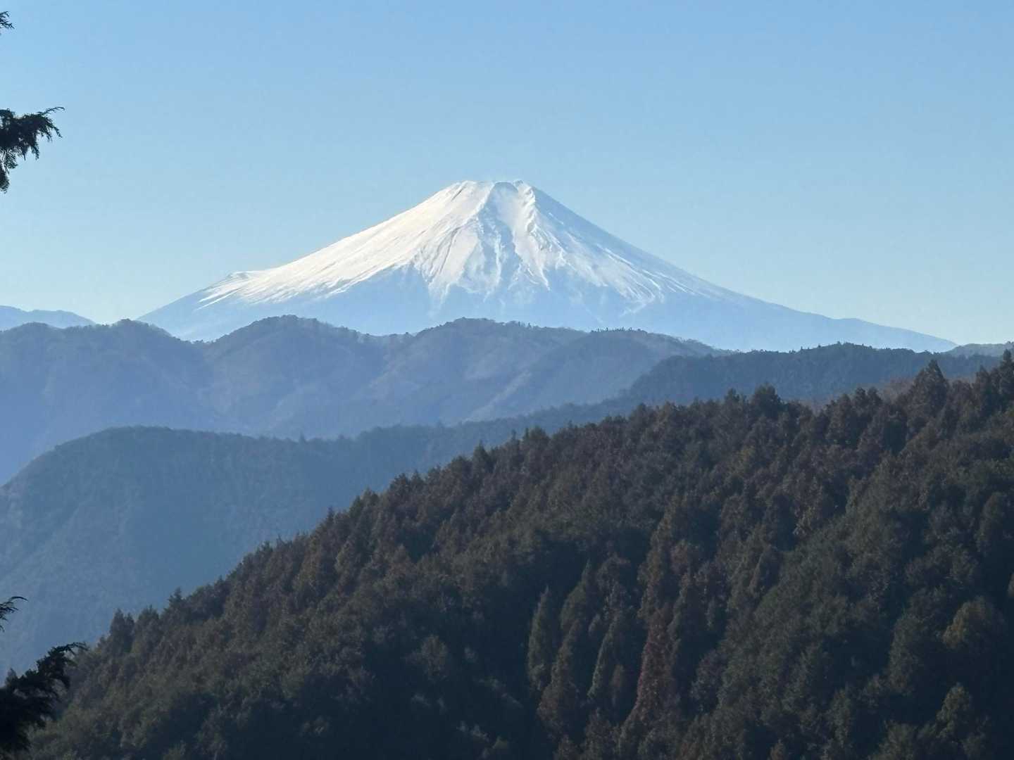 鶴脚山-馬頭刈山-高明山-長岳 縦走コースの写真