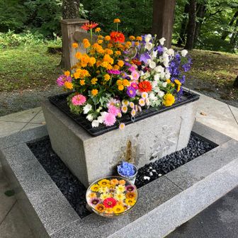 花手水がきれいです💐