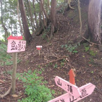 三角点▲への分岐