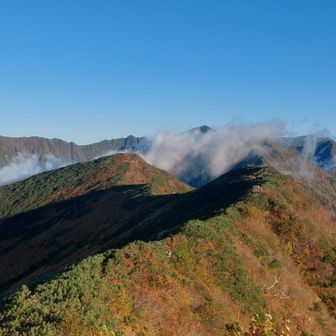 頭ちょっとのカチポロも