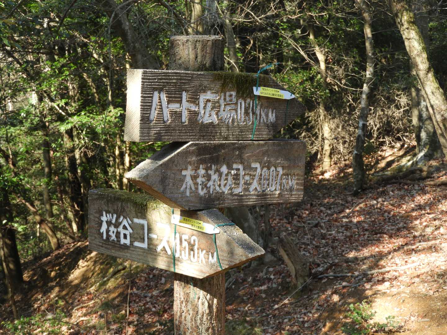 こんな標識が完備しています。
山径はたくさんあって、どの径を行こうか？迷います。