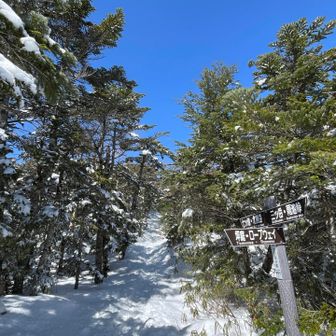 昨日少し雪降ったみたいで、この辺りはパウダーが残ってました
