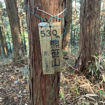 熊笹山　熊居るのかな？　恐っ❗️