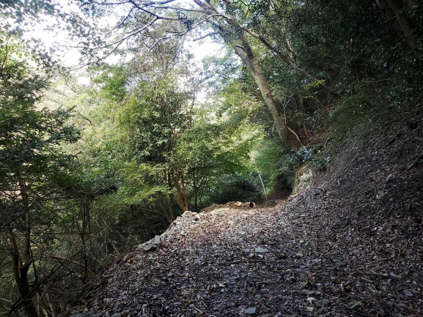 土砂の流出あり
荒れています