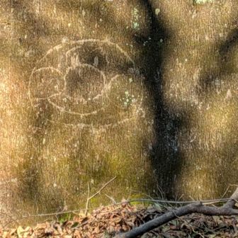 一旦ロードに降りると〜カベにいろいろ落書き〜アンパンマン✌️